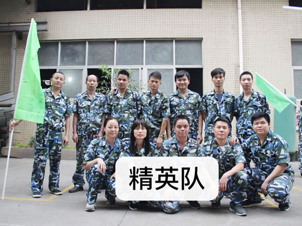 精英队